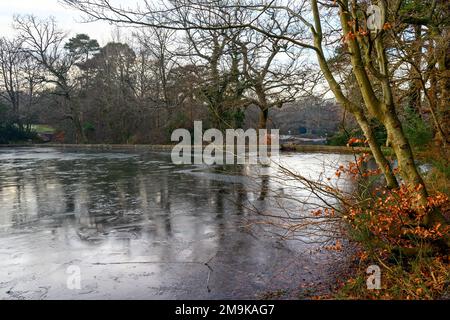 Einer der Keston-Teiche am Keston Common in der Nähe des Dorfes Keston in Kent, Großbritannien. Eine kalte Winterszene mit Eis auf der Oberfläche des Teichs. Stockfoto