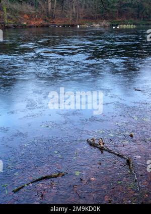 Einer der Keston-Teiche am Keston Common in der Nähe des Dorfes Keston in Kent, Großbritannien. Eine kalte Winterszene mit Eis auf der Oberfläche des Teichs. Stockfoto