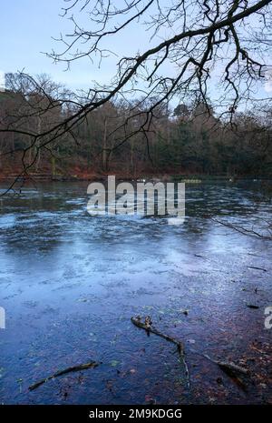 Einer der Keston-Teiche am Keston Common in der Nähe des Dorfes Keston in Kent, Großbritannien. Eine kalte Winterszene mit Eis auf der Oberfläche des Teichs. Stockfoto