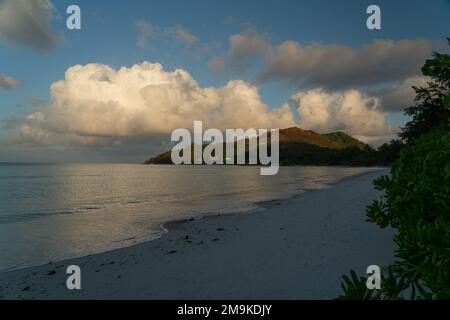 Blick am Abend entlang des langen Strandes von Anse Volbert. Stockfoto