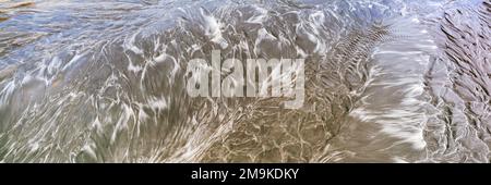 Surf Sand Muster, Scripps Coastal Reserve Area, La Jolla, Kalifornien, USA Stockfoto