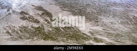 Surf Sand Muster, Scripps Coastal Reserve Area, La Jolla, Kalifornien, USA Stockfoto