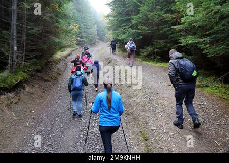 KARPATEN, UKRAINE - 8. OKTOBER 2022 Mount Hoverla. Karpaten in der Ukraine im Herbst. Touristen wandern durch Hügel und Wälder bis zum Gipfel des Hoverla Berges Stockfoto