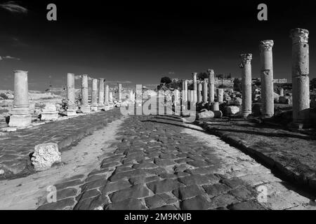 Blick über die Ruinen der Decumanus Maximus Straße, Umm Qais Stadt, Jordanien, Naher Osten Stockfoto