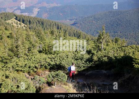 KARPATEN, UKRAINE - 8. OKTOBER 2022 Mount Hoverla. Karpaten in der Ukraine im Herbst. Touristen wandern durch Hügel und Wälder bis zum Gipfel des Hoverla Berges Stockfoto