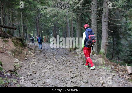 KARPATEN, UKRAINE - 8. OKTOBER 2022 Mount Hoverla. Karpaten in der Ukraine im Herbst. Touristen wandern durch Hügel und Wälder bis zum Gipfel des Hoverla Berges Stockfoto