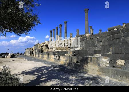 Blick über die Cardo Street mit Geschäften in Umm Qais, Jordanien, Naher Osten Stockfoto