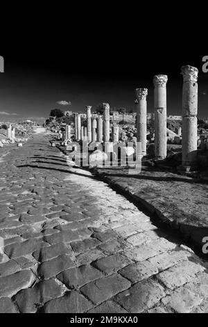 Blick über die Ruinen der Decumanus Maximus Straße, Umm Qais Stadt, Jordanien, Naher Osten Stockfoto