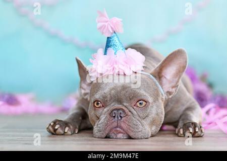 Französischer Bulldog mit niedlicher Geburtstagsparty-Mütze neben lilafarbenen Luftschlangen vor blauem Hintergrund Stockfoto
