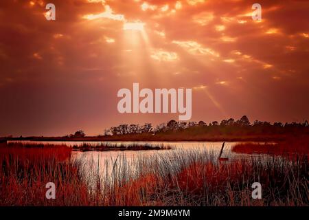 Am 17. Januar 2023 geht die Sonne über Sumpfgras in Bayou La Batre, Alabama, unter. Feuchtgebiete an der Küste des Gebiets sind ökologisch bedeutsame Lebensräume. Stockfoto