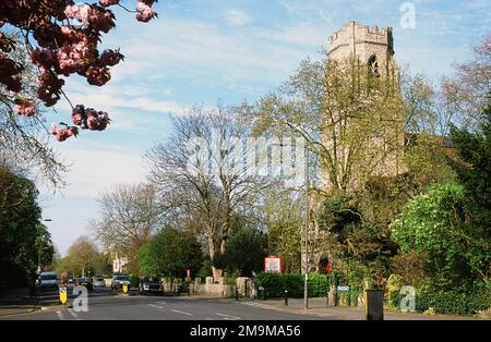 Wickham Road, Upper Brockley, South East London UK, im Frühling, mit dem Kirchturm St. Peter Stockfoto