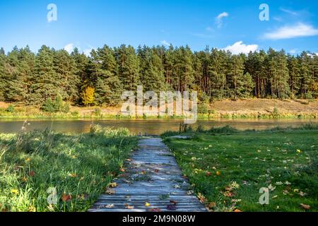 Ein hölzerner Pfad mit herbstlichen Ahornblättern führt zum Fluss, auf der anderen Seite befindet sich ein Herbstwald Stockfoto