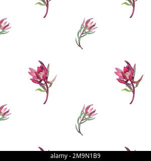 Wasserfarbenes, nahtloses Muster mit magentafarbenem protea, blühenden Blüten im Hintergrund und proteablättern. Stockfoto