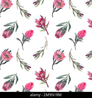 Wasserfarbenes, nahtloses Muster mit magentafarbenem protea, blühenden Blüten im Hintergrund und proteablättern. Stockfoto