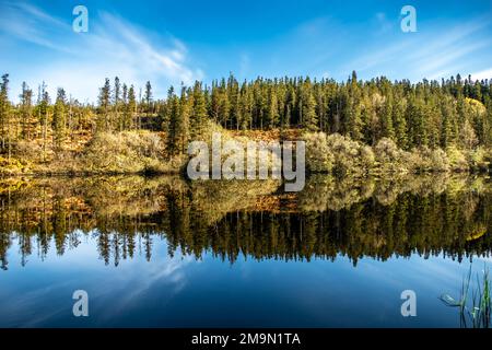 Lough Achork im Frühjahr, Lough Navar Forest in Enniskillen, Großbritannien Stockfoto