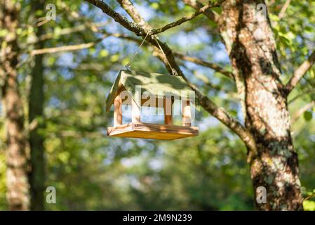 Vogelhaus auf einem Ast im Wald Stockfoto