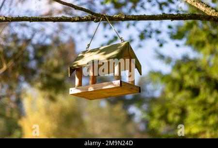 Vogelhaus auf einem Ast im Wald Stockfoto