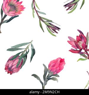 Wasserfarbenes, nahtloses Muster mit magentafarbenem protea, blühenden Blüten im Hintergrund und proteablättern. Stockfoto