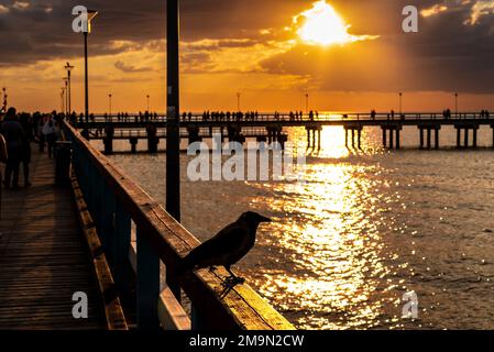 Die herrliche historische Palanga-Brücke an der Ostsee bei Sonnenuntergang in Litauen Stockfoto