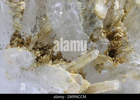 Einheimisches Gold auf klarem Quarz aus Eagle Mine, Colorado Stockfoto