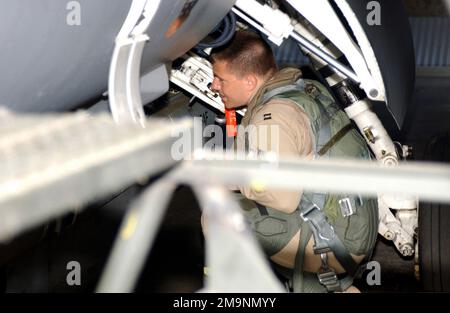 Captain der US Air Force (USAF) Russ Shinn, 55. Expeditionary Fighter Squadron (EFS), Luftwaffenstützpunkt Shaw (AFB) South Carolina (SC) führt eine Vorflugkontrolle eines F-16CJ Kampfflugzeugs gegen Falcon am Luftwaffenstützpunkt Incirlik (ab) in der Türkei durch. Nach 12 erfolgreichen Jahren der Durchsetzung der Flugverbotszone über dem Nordirak, zur Unterstützung der Operation NORTHERN WATCH, werden Flugzeuge von Shaw und anderen Einheiten umgesiedelt. Betreff Operation/Serie: NÖRDLICHE WACHSTATION: Luftwaffenstützpunkt Incirlik, Land Adana: Türkei (TUR) Stockfoto