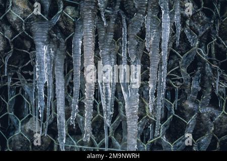 Viele Eiszapfen bilden sich an einer Felswand. Stockfoto