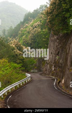 Eine kurvenreiche Straße hängt am Rand eines bewaldeten Hügels im ländlichen Wakayama, Japan. Stockfoto