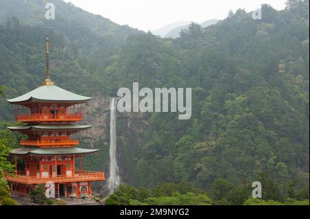 Sanjūdō-Pagode, oder dreistöckige Pagode, am Kumano Nachi Taisha-Schrein, mit den Nachi-Fällen im Hintergrund. Stockfoto