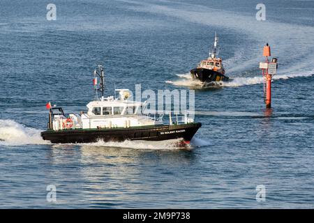 Admiralität und kommerzielle Lotsenboote in Portsmouth. Stockfoto