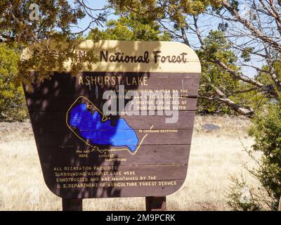 Der Ashurst Lake im Coconino County, Arizona, USA, ist ein Natursee und ein Erholungsgebiet. Stockfoto