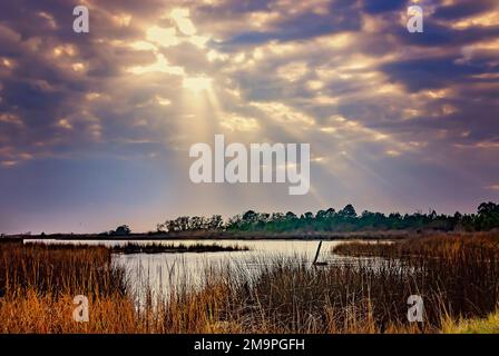 Am 17. Januar 2023 geht die Sonne über Sumpfgras in Bayou La Batre, Alabama, unter. Feuchtgebiete an der Küste des Gebiets sind ökologisch bedeutsame Lebensräume. Stockfoto