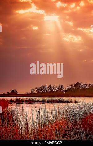 Am 17. Januar 2023 geht die Sonne über Sumpfgras in Bayou La Batre, Alabama, unter. Feuchtgebiete an der Küste des Gebiets sind ökologisch bedeutsame Lebensräume. Stockfoto