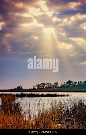 Am 17. Januar 2023 geht die Sonne über Sumpfgras in Bayou La Batre, Alabama, unter. Feuchtgebiete an der Küste des Gebiets sind ökologisch bedeutsame Lebensräume. Stockfoto