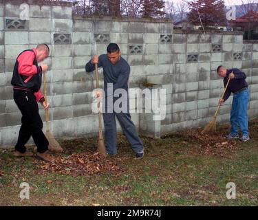 031210-M-4711R-111. US Marine Corps (USMC) Marines mit 5. Bataillon (BN), 10. Marines, Tango Battery, vorübergehend an 3. BN angeschlossen, 12. Marines, für ein Unit Deployment Program (UDP), sammeln Blätter und Stöcke als Teil eines Freiwilligenprojekts im Yakanama Seibi Heim für Waisen, Yakanama, Japan. Stockfoto