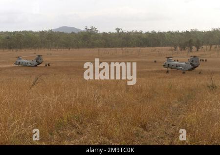 Zwei US Marine Corps (USMC) CH-46E Sea Knights, Marine Medium Helicopter Squadron-262 (HMM-262), Marine Aircraft Group-36, 1. Marine Aircraft Wing, Transfer zu USMC Marines von Golf Company, 2. Bataillon, 3. Marine Regiment (2/3), während der Trainingsübung KROKODIL 2003 in Shoalwater Bay Training Area, Australien. Betreff Operation/Serie: KROKODIL 2003 Basis: Camp Samuel Hill Staat: Queensland Land: Australien (AUS) Stockfoto