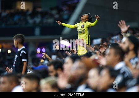 Sao Paulo, Brasilien. 18. Januar 2023. SP - Sao Paulo - 01/18/2023 - PAULISTA 2023, CORINTHIANS X AGUA SANTA - Corinthians Fans während eines Spiels gegen Agua Santa im Arena Corinthians Stadion für die Paulista Meisterschaft 2023. Foto: Marcello Zambrana/AGIF/Sipa USA Kredit: SIPA USA/Alamy Live News Stockfoto