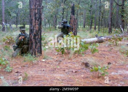 MARINES des US Marine Corps (USMC), bewaffnet mit 5,56mm M16A2-Gewehren, nehmen an Feldübungen während des ÜBUNGSLAUFS in Fort Bragg, North Carolina (NC) Teil. (Unterdurchschnittliches Bild). Betreff Betrieb/Serie: ROLLING THUNDER 2003 Base: Fort Bragg Bundesstaat: North Carolina (NC) Land: Vereinigte Staaten von Amerika (USA) Stockfoto