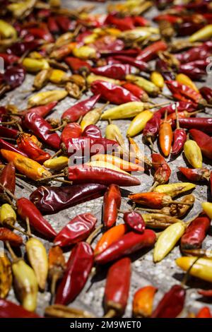 Chili-Pfeffer-Hintergrund. Heiße rote Chili-Paprika werden draußen in der Sonne getrocknet. Mexikanische Küche, Gewürze, Speisekonzept. Hochwertiges Foto Stockfoto