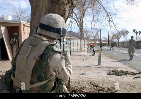 031213M-6237R-027. [Complete] Szene Caption: US Marine Corps (USMC) Lance Corporal (LCPL) Duc La (Vordergrund), ein Infanterie, der Lima/Company zugeteilt wurde, 3. Bataillon, 7. Marines, deckt einen 1. Bataillon Marine, der sich als irakischer Scharfschütze ausgibt und von Mitgliedern seiner Einheit festgenommen wird, Während eines Trainingskurses für militärische Operationen in städtischem Terrain (MOUT) im Marine Air Ground Combat Center, Twentynine Palms, Kalifornien (CA). Die Schulung wird unter Verwendung von Simunition-Runden durchgeführt. Munition Munition ist simulierte Munition, die ein Lackschossen abfeuert und für das Training verwendet wird. Das Zahnrad enthält Stockfoto