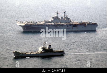Eine Hafenseitenansicht der Republik Korea (KOR), ALLIGATORKLASSE: Amphibienschiff, SEONGIN BONG (LST 685) (Vordergrund) und US Navy (USN), WASP-KLASSE: Amphibienschiff, USS ESSEX (LHD 2), vor der Küste Koreas, während der Teilnahme an der Übung FOHLEN EAGLE 2004. Land: Republik Korea (KOR) Stockfoto