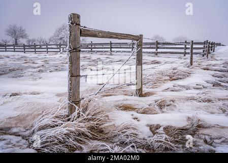 Rime-Eisfrost bedeckt Stacheldrahtzaunpfähle in der Landschaft von Saskatchewan Stockfoto