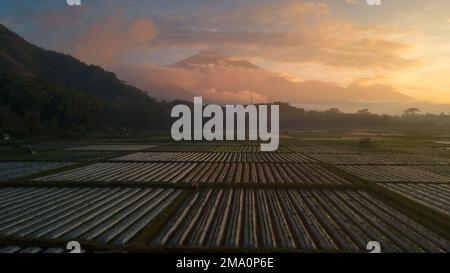 Luftaufnahme einiger landwirtschaftlicher Felder in Sembalun. Sembalun liegt am Hang des Berges Rinjani und ist von wunderschönen grünen Bergen umgeben Stockfoto