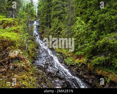 Blick auf einen Wasserfall, umgeben von grüner Natur. Die skandinavischen Länder verfügen alle über einzigartige Landschaften, die nur dort zu finden sind. Daher ist es nicht überraschend, dass die skandinavischen Länder das ganze Jahr über unzählige Touristen empfangen. Schweden verfügt auch über mehr als tausend Meilen Küste. Jeder in Schweden kann die Wälder, die Berge, die Seen und das Meer genießen, dank des so genannten jedermanns Rechts. Weit oben im Norden sind die Sommer besonders besonders, da die Sonne ein paar Wochen lang gar nicht untergeht, immer noch um Mitternacht scheint und die umliegenden Landschaften in einen spektakulären Strahler verwandelt Stockfoto