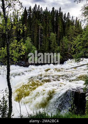 Blick auf den Anfang des Ristafallet-Wasserfalls. Die skandinavischen Länder verfügen alle über einzigartige Landschaften, die nur dort zu finden sind. Daher ist es nicht überraschend, dass die skandinavischen Länder das ganze Jahr über unzählige Touristen empfangen. Schweden verfügt auch über mehr als tausend Meilen Küste. Jeder in Schweden kann die Wälder, die Berge, die Seen und das Meer genießen, dank des so genannten jedermanns Rechts. Weit oben im Norden sind die Sommer besonders besonders, da die Sonne ein paar Wochen lang gar nicht untergeht, immer noch um Mitternacht scheint und die umliegenden Landschaften in spektakuläre sc verwandelt Stockfoto