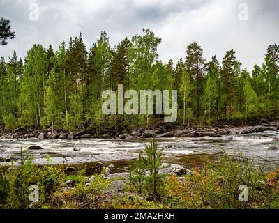 31. Mai 2022, in der Nähe des Dorfes Bracke, Bracke, Schweden: Blick auf einen Fluss, der viel Wasser aus den Bergen transportiert. Die skandinavischen Länder verfügen alle über einzigartige Landschaften, die nur dort zu finden sind. Daher ist es nicht überraschend, dass die skandinavischen Länder das ganze Jahr über unzählige Touristen empfangen. Schweden verfügt auch über mehr als tausend Meilen Küste. Jeder in Schweden kann die Wälder, die Berge, die Seen und das Meer genießen, dank des so genannten jedermanns Rechts. Weit oben im Norden sind die Sommer besonders besonders, weil die Sonne für ein paar Wochen gar nicht untergeht und immer noch auf mi scheint Stockfoto