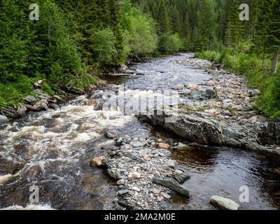 16. Juni 2022, in der Nähe des Dorfes Sul, Nord-TrÃ¸ndelag, Norwegen: Blick auf einen Fluss mit viel Wasser. Die skandinavischen Länder verfügen alle über einzigartige Landschaften, die nur dort zu finden sind. Daher ist es nicht überraschend, dass die skandinavischen Länder das ganze Jahr über unzählige Touristen empfangen. Schweden verfügt auch über mehr als tausend Meilen Küste. Jeder in Schweden kann die Wälder, die Berge, die Seen und das Meer genießen, dank des so genannten jedermanns Rechts. Weit oben im Norden sind die Sommer besonders besonders, denn für ein paar Wochen geht die Sonne gar nicht unter, scheint immer noch um Mitternacht, conv Stockfoto