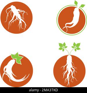 Konstruktionsvorlage für Ginseng-Symboldarstellungen Stock Vektor