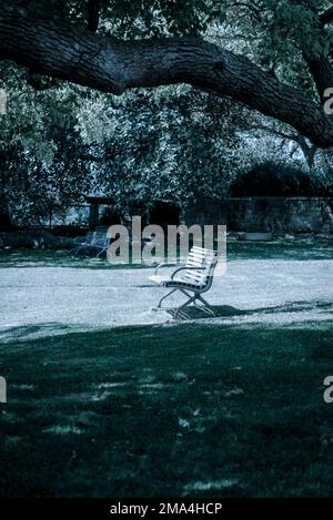 Eine Bank in der Sonne, Cockatoo Island, Sydney, NSW, Australien Stockfoto