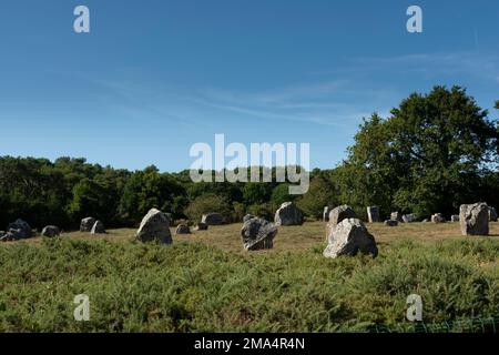 Carnaksteine (megalithische Stätten). Le Méaq Alignments. Die Gemeinde von Carnac. Abteilung Morbihan. Brittany. Frankreich Stockfoto
