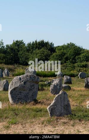 Carnaksteine (megalithische Stätten). Le Méaq Alignments. Die Gemeinde von Carnac. Abteilung Morbihan. Brittany. Frankreich Stockfoto